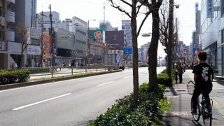 道路の向こう側に、ライフが見えてきます。
