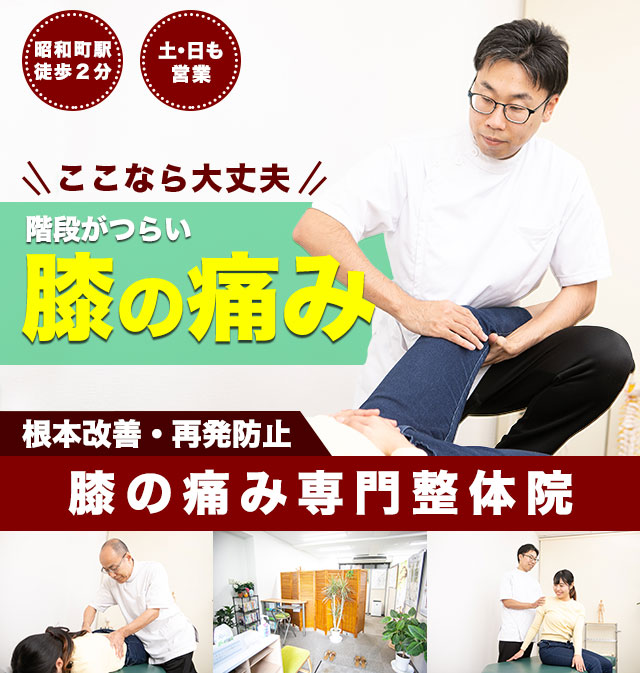 昭和町カイロホームページ　膝の痛みトップ画像